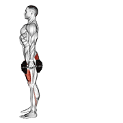 ภาพเคลื่อนไหวสาธิตท่า Dumbbell Rear Lunge เน้นกล้ามเนื้อกล้ามเนื้อก้น