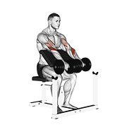 ภาพเคลื่อนไหวสาธิตท่า Dumbbell Reverse Preacher Curl เน้นกล้ามเนื้อกล้ามเนื้อหน้าแขน (ไบเซปส์)