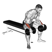 ภาพเคลื่อนไหวสาธิตท่า Dumbbell Reverse Wrist Curl เน้นกล้ามเนื้อแขนท่อนล่าง