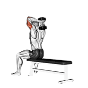 ภาพเคลื่อนไหวสาธิตท่า Dumbbell Seated Bench Extension เน้นกล้ามเนื้อกล้ามเนื้อหลังแขน (ไทรเซปส์)