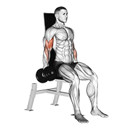 ภาพเคลื่อนไหวสาธิตท่า Dumbbell Seated Inner Biceps Curl เน้นกล้ามเนื้อกล้ามเนื้อหน้าแขน (ไบเซปส์)