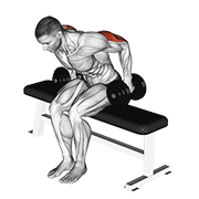 ภาพเคลื่อนไหวสาธิตท่า Dumbbell Seated Kickback เน้นกล้ามเนื้อกล้ามเนื้อหลังแขน (ไทรเซปส์)