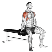 ภาพเคลื่อนไหวสาธิตท่า Dumbbell Seated Lateral Raise เน้นกล้ามเนื้อไหล่ (เดลทอยด์)