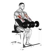 ภาพเคลื่อนไหวสาธิตท่า Dumbbell Seated Preacher Curl เน้นกล้ามเนื้อกล้ามเนื้อหน้าแขน (ไบเซปส์)