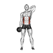 ภาพเคลื่อนไหวสาธิตท่า Dumbbell Side Bend เน้นกล้ามเนื้อหน้าท้อง