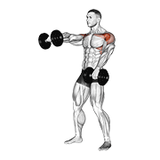 ภาพเคลื่อนไหวสาธิตท่า Dumbbell Standing Alternate Raise เน้นกล้ามเนื้อไหล่ (เดลทอยด์)