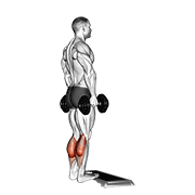 ภาพเคลื่อนไหวสาธิตท่า Dumbbell Standing Calf Raise เน้นกล้ามเนื้อน่อง