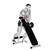ภาพเคลื่อนไหวสาธิตท่า Dumbbell Standing One Arm Curl (over Incline Bench) เน้นกล้ามเนื้อกล้ามเนื้อหน้าแขน (ไบเซปส์)
