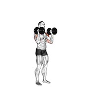 ภาพเคลื่อนไหวสาธิตท่า Dumbbell Standing Palms In Press เน้นกล้ามเนื้อไหล่ (เดลทอยด์)