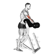 ภาพเคลื่อนไหวสาธิตท่า Dumbbell Standing Preacher Curl เน้นกล้ามเนื้อกล้ามเนื้อหน้าแขน (ไบเซปส์)
