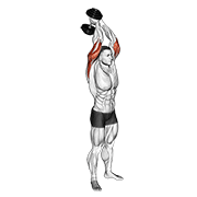 ภาพเคลื่อนไหวสาธิตท่า Dumbbell Standing Triceps Extension เน้นกล้ามเนื้อกล้ามเนื้อหลังแขน (ไทรเซปส์)