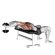ภาพเคลื่อนไหวสาธิตท่า Dumbbell Straight Arm Pullover เน้นกล้ามเนื้อกล้ามเนื้อหน้าอก