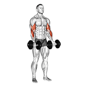 ภาพเคลื่อนไหวสาธิตท่า Dumbbell Zottman Curl เน้นกล้ามเนื้อกล้ามเนื้อหน้าแขน (ไบเซปส์)