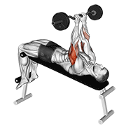 ภาพเคลื่อนไหวสาธิตท่า Ez Barbell Decline Close Grip Face Press เน้นกล้ามเนื้อกล้ามเนื้อหลังแขน (ไทรเซปส์)