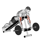ภาพเคลื่อนไหวสาธิตท่า Ez Barbell Spider Curl เน้นกล้ามเนื้อกล้ามเนื้อหน้าแขน (ไบเซปส์)