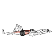 ภาพเคลื่อนไหวสาธิตท่า Flexion Leg Sit Up (bent Knee) เน้นกล้ามเนื้อหน้าท้อง