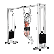 ภาพเคลื่อนไหวสาธิตท่า Hanging Straight Leg Hip Raise เน้นกล้ามเนื้อหน้าท้อง