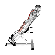 ภาพเคลื่อนไหวสาธิตท่า Hyperextension เน้นกล้ามเนื้อกล้ามเนื้อแนวกระดูกสันหลัง