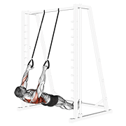 ภาพเคลื่อนไหวสาธิตท่า Inverted Row With Straps เน้นกล้ามเนื้อหลังส่วนบน