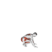ภาพเคลื่อนไหวสาธิตท่า Jack Burpee เน้นกล้ามเนื้อระบบหัวใจและหลอดเลือด