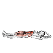 ภาพเคลื่อนไหวสาธิตท่า Jackknife Sit-up เน้นกล้ามเนื้อหน้าท้อง