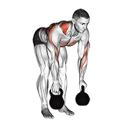 ภาพเคลื่อนไหวสาธิตท่า Kettlebell Alternating Row เน้นกล้ามเนื้อหลังส่วนบน