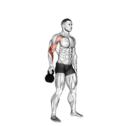 ภาพเคลื่อนไหวสาธิตท่า Kettlebell Bottoms Up Clean From The Hang Position เน้นกล้ามเนื้อกล้ามเนื้อหน้าแขน (ไบเซปส์)