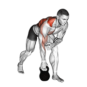 ภาพเคลื่อนไหวสาธิตท่า Kettlebell One Arm Row เน้นกล้ามเนื้อหลังส่วนบน