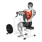 ภาพเคลื่อนไหวสาธิตท่า Lever Alternating Narrow Grip Seated Row เน้นกล้ามเนื้อหลังส่วนบน