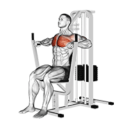 ภาพเคลื่อนไหวสาธิตท่า Lever Chest Press เน้นกล้ามเนื้อกล้ามเนื้อหน้าอก