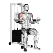 ภาพเคลื่อนไหวสาธิตท่า Lever Lateral Raise เน้นกล้ามเนื้อไหล่ (เดลทอยด์)