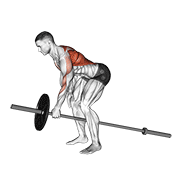 ภาพเคลื่อนไหวสาธิตท่า Lever One Arm Bent Over Row เน้นกล้ามเนื้อหลังส่วนบน
