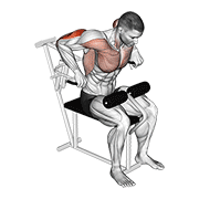 ภาพเคลื่อนไหวสาธิตท่า Lever Overhand Triceps Dip เน้นกล้ามเนื้อกล้ามเนื้อหลังแขน (ไทรเซปส์)