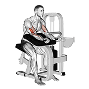 ภาพเคลื่อนไหวสาธิตท่า Lever Preacher Curl เน้นกล้ามเนื้อกล้ามเนื้อหน้าแขน (ไบเซปส์)