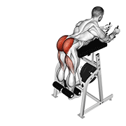 ภาพเคลื่อนไหวสาธิตท่า Lever Reverse Hyperextension เน้นกล้ามเนื้อกล้ามเนื้อก้น