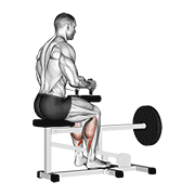 ภาพเคลื่อนไหวสาธิตท่า Lever Seated Calf Raise เน้นกล้ามเนื้อน่อง