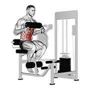 ภาพเคลื่อนไหวสาธิตท่า Lever Seated Crunch (chest Pad) เน้นกล้ามเนื้อหน้าท้อง