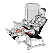 ภาพเคลื่อนไหวสาธิตท่า Lever Seated Leg Curl เน้นกล้ามเนื้อต้นขาด้านหลัง (แฮมสตริง)