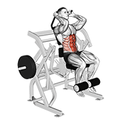 ภาพเคลื่อนไหวสาธิตท่า Lever Seated Leg Raise Crunch เน้นกล้ามเนื้อหน้าท้อง