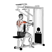 ภาพเคลื่อนไหวสาธิตท่า Lever Seated Reverse Fly (parallel Grip) เน้นกล้ามเนื้อไหล่ (เดลทอยด์)