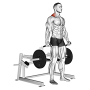 ภาพเคลื่อนไหวสาธิตท่า Lever Shrug เน้นกล้ามเนื้อกล้ามเนื้อบ่า (แทรปส์)