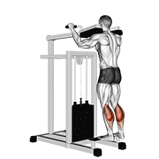 ภาพเคลื่อนไหวสาธิตท่า Lever Standing Calf Raise เน้นกล้ามเนื้อน่อง