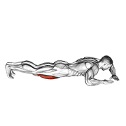 ภาพเคลื่อนไหวสาธิตท่า Lying (side) Quads Stretch เน้นกล้ามเนื้อต้นขาด้านหน้า (ควอดส์)