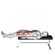 ภาพเคลื่อนไหวสาธิตท่า Lying Leg Raise Flat Bench เน้นกล้ามเนื้อหน้าท้อง