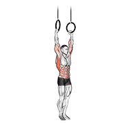ภาพเคลื่อนไหวสาธิตท่า Muscle Up เน้นกล้ามเนื้อปีกหลัง (แลตส์)