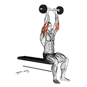 ภาพเคลื่อนไหวสาธิตท่า Olympic Barbell Triceps Extension เน้นกล้ามเนื้อกล้ามเนื้อหลังแขน (ไทรเซปส์)