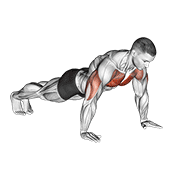 ภาพเคลื่อนไหวสาธิตท่า Push-up เน้นกล้ามเนื้อกล้ามเนื้อหน้าอก