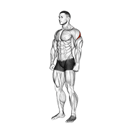 ภาพเคลื่อนไหวสาธิตท่า Rear Deltoid Stretch เน้นกล้ามเนื้อไหล่ (เดลทอยด์)