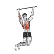 ภาพเคลื่อนไหวสาธิตท่า Rear Pull-up เน้นกล้ามเนื้อปีกหลัง (แลตส์)