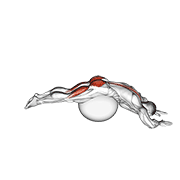 ภาพเคลื่อนไหวสาธิตท่า Reverse Hyper Extension (on Stability Ball) เน้นกล้ามเนื้อกล้ามเนื้อก้น